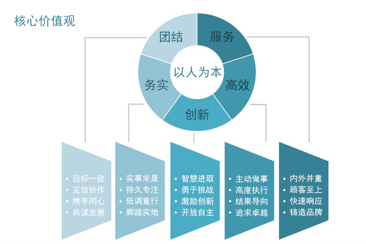 新疆卫宁软件有限公司CMMI3认证