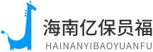 海南亿保员福信息科技通过CMMI3级认证