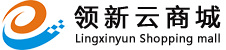 兰州领新网络信息科技通过CMMI3级认证