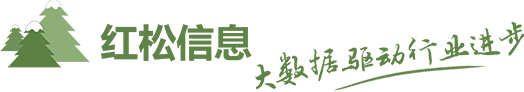 南京红松信息技术CMMI3级认证证书