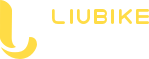 宁波小遛共享信息科技CMMI认证3级证书信息.png