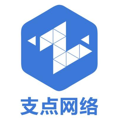 山东支点网络科技CMMI认证3级证书信息