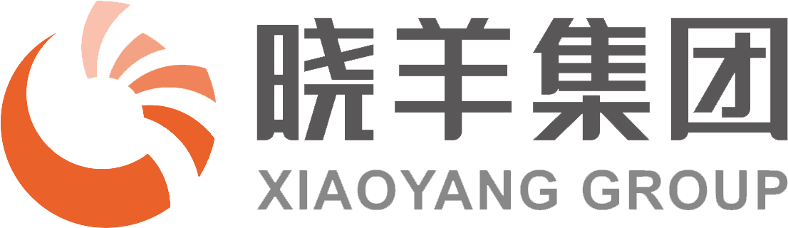 北京晓羊教育科技集团CMMI3级证书信息